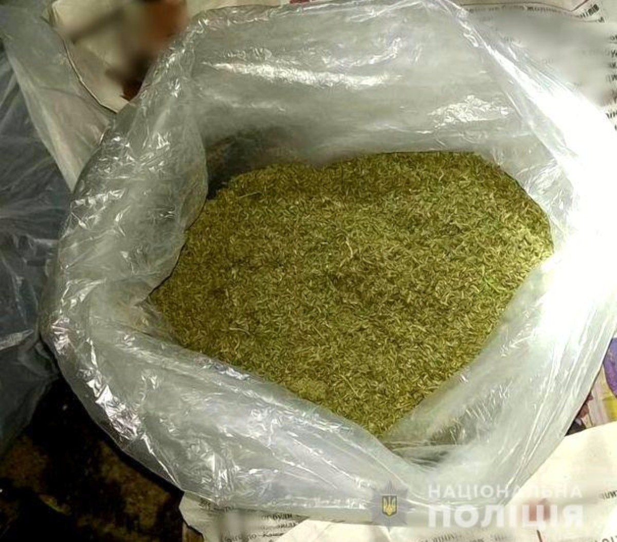 Лазурное,конопля,порох