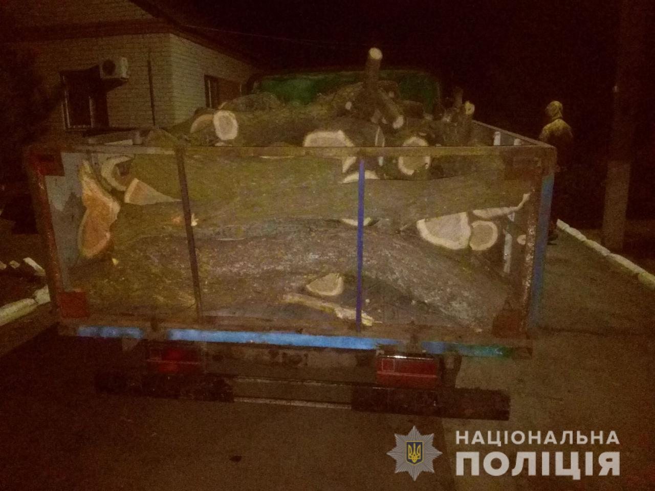 Нововоронцовский район,лесной браконьер,дрова