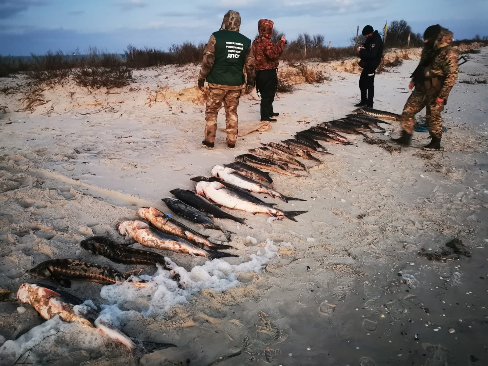 Херсонщина, улов, браконьєри