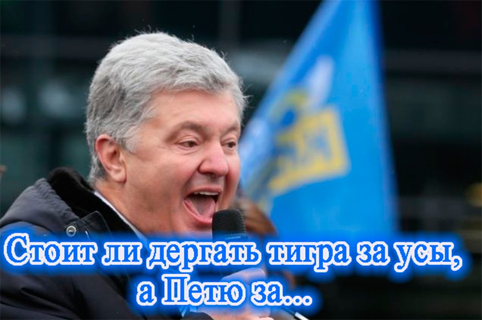 Стоит ли дергать тигра за усы, а Петю за…