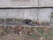 Вранці росіяни скинули вибухівку на Берислав: загинув чоловік