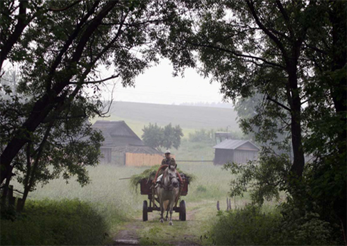 Дети из херсонских сел могут забыть о бесплатном образовании? 