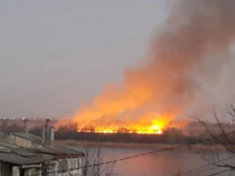 Дніпро пожежа екосистеми
