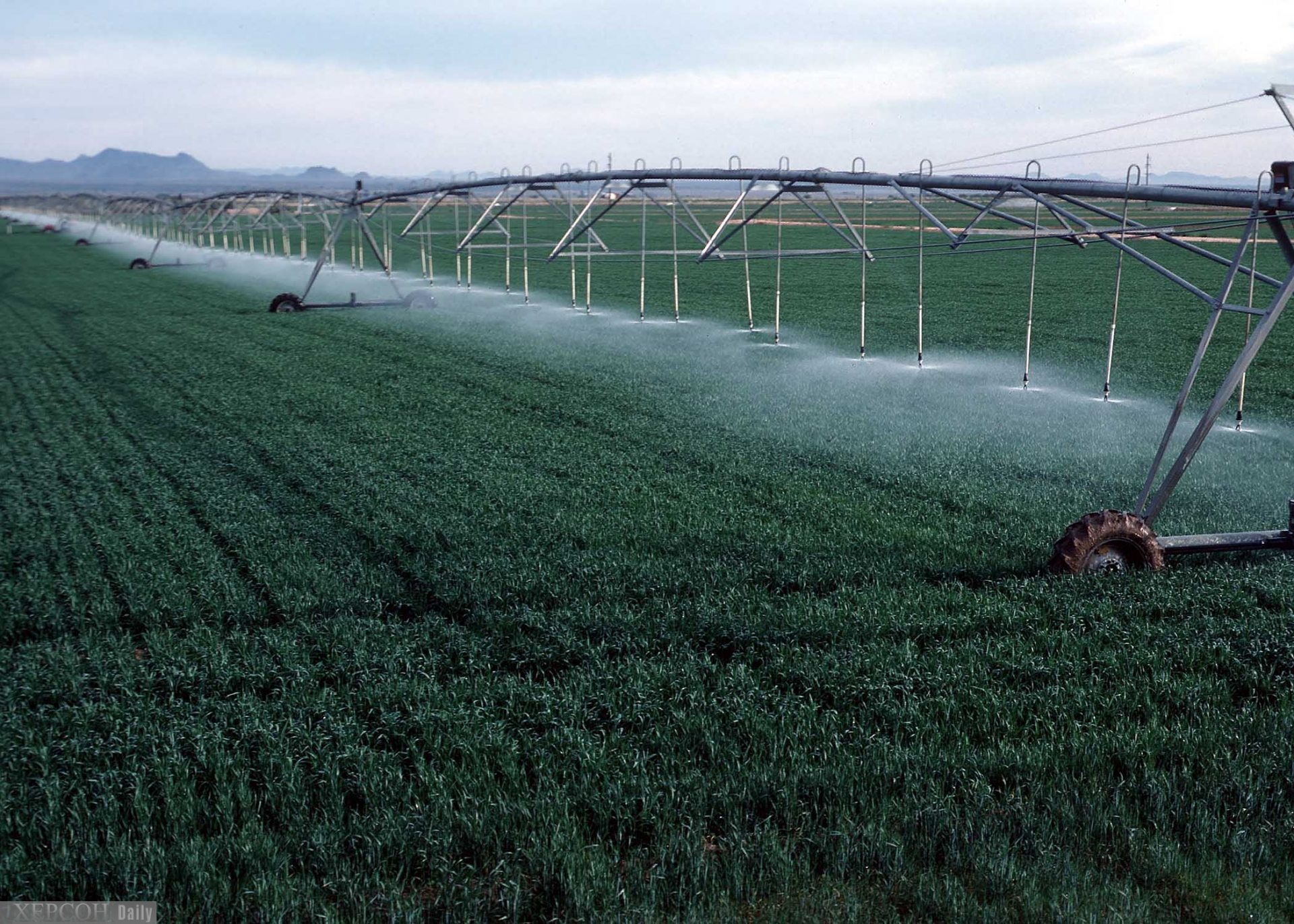 зрошення, асоціація водокористувачів, насосні станції