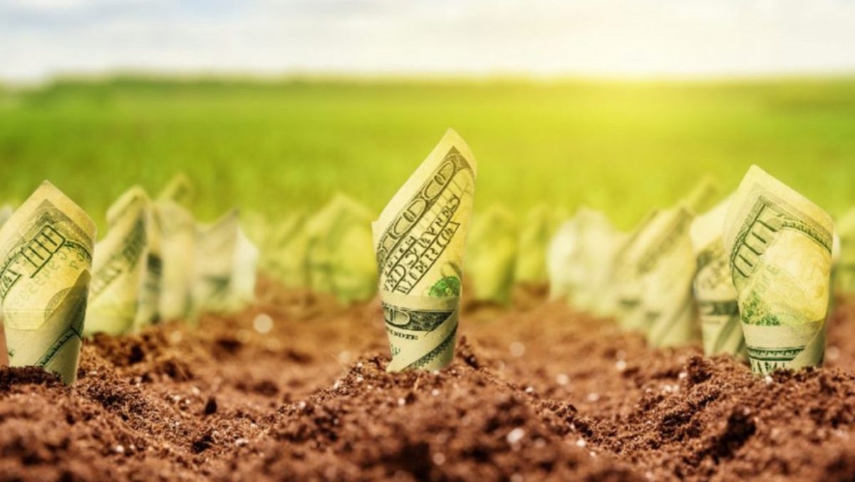 министр, агрополитики, земля, стоимость