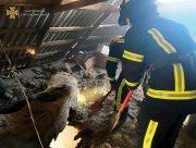 На Херсонщині рятувальники ліквідували пожежу у житловому будинку