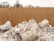 Херсонські плавні продовжують засипати сміттям