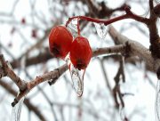 Прогноз погоды на выходные 12&ndash;13 февраля: весна уже близко