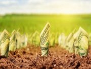 На Херсонщині найдешевша сільськогосподарська земля в країні
