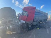 На Херсонщині водій заснув за кермом, одна людина травмована
