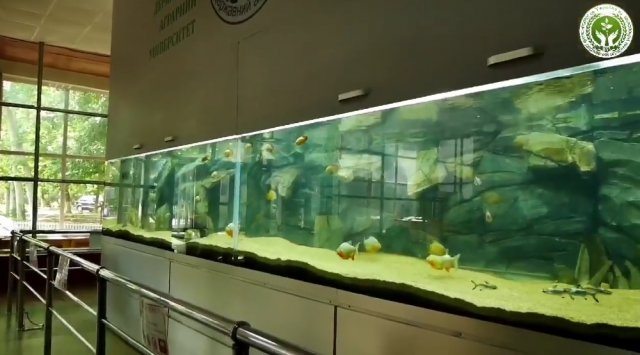 Херсон, ХГАЭУ, аквариум
