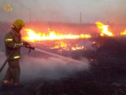Херсонщина потерпає від пожеж: за добу 9 разів горіли сміття, суха трава та очерет