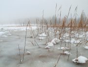 На Херсонщині серед комишу знайшли тіло невідомого чоловіка