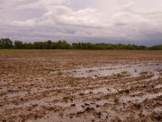 Село на Херсонщині потерпає від щорічних підтоплень