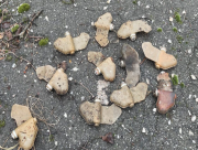 Жінка підірвалася на міні у Дніпровському районі Херсона