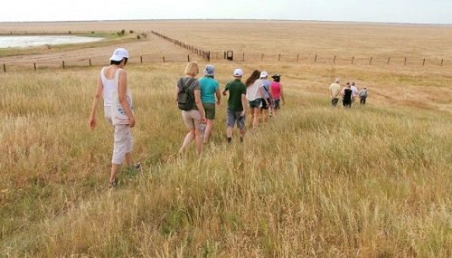 туризм, тачанка, музей, заповідник