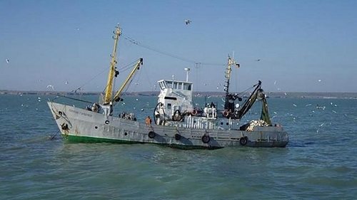 рибалки, вилов, риба, Азов, асоціація