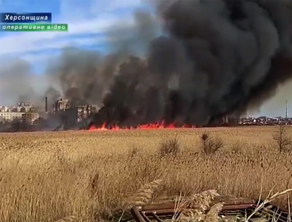 екосистеми, пожежа, відео