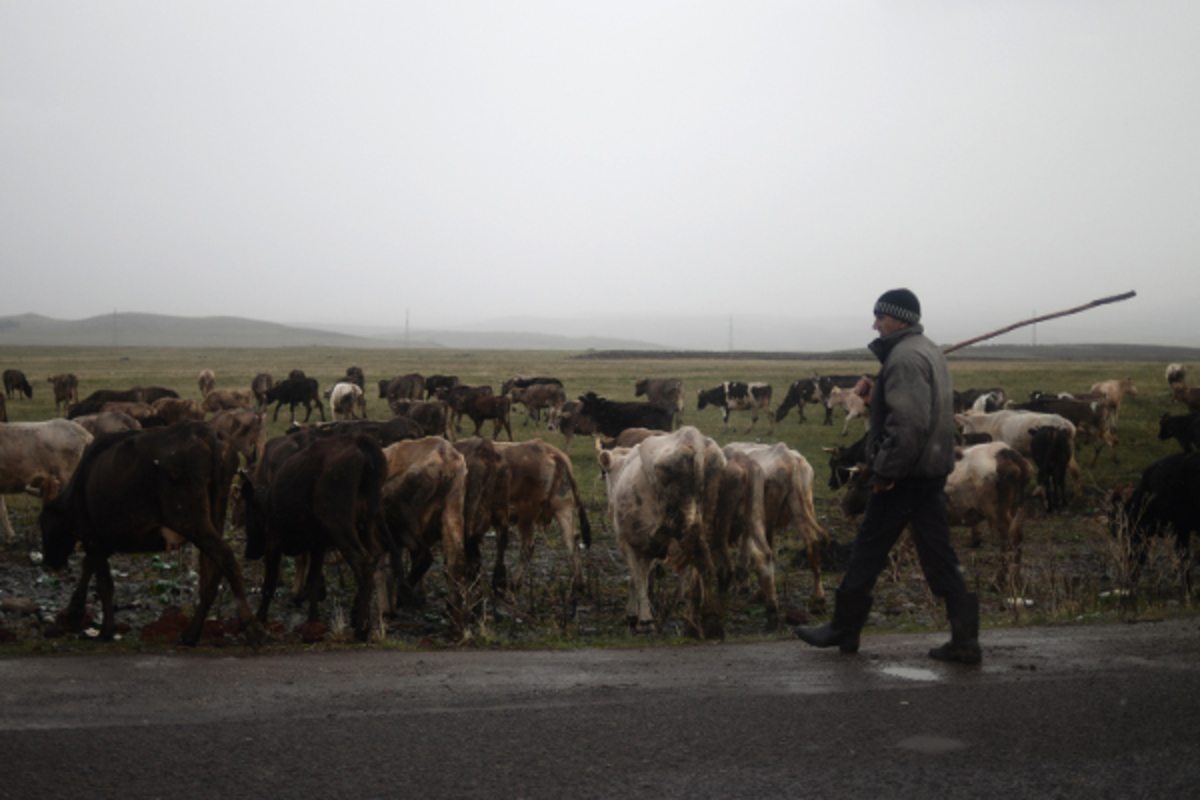 Голопристанский район,забить до смерти,Черниговская область