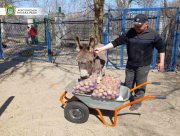 У херсонському зоокуточку тварини не голодують