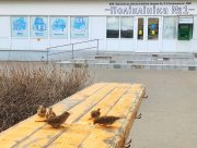 В аграрной Херсонщине нет запасов  муки