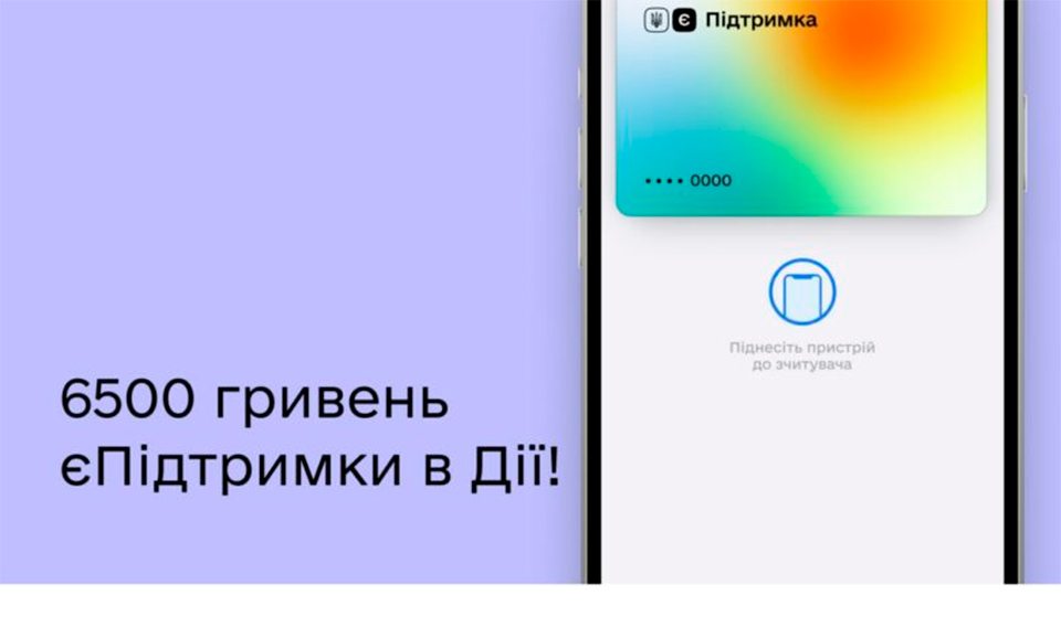 Федоров, еПідтримка, гроші