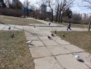 У Херсоні новий індекс щастя