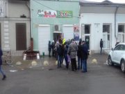 Херсонцы не забывают о домашних любимцах