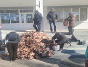 В Херсон волонтёры привозят кур с умирающей птицефабрики