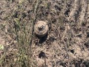На Херсонщині на російській вибухівці підірвалася людина