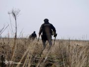 "Урожай" війни. Знешкоджено ще 145 вибухівок на деокупованій Херсонщині