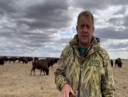 З "Асканії Нової" на Херсонщині знову збираються вивозити тварин