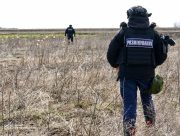 На Херсонщині вже виявлено 43273 боєприпаси