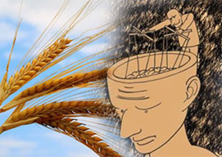 Коріння дестабілізації: погляд з Херсонщини