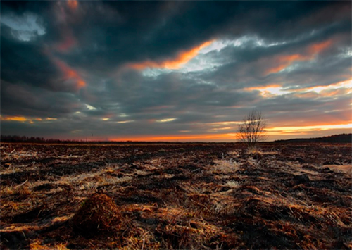 «Выжженная земля»