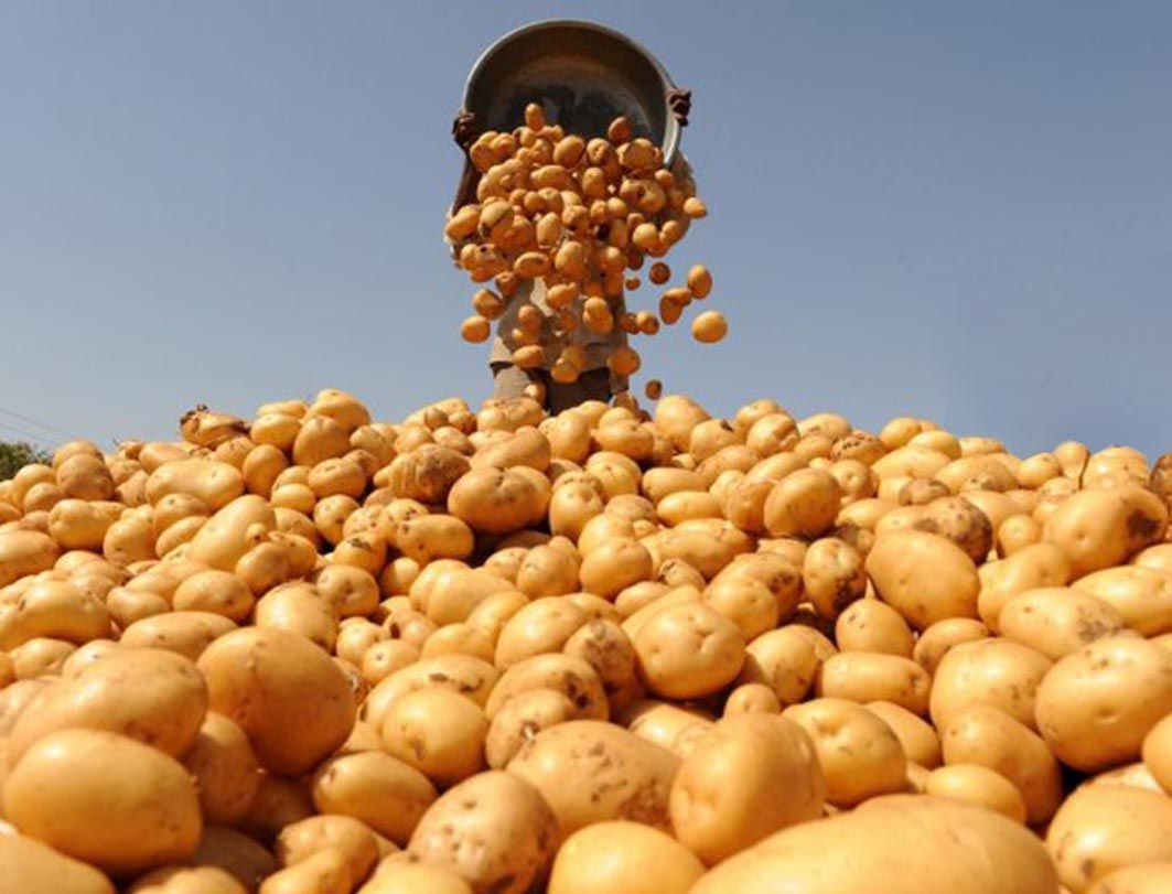 магазин, картофель,  покупатели