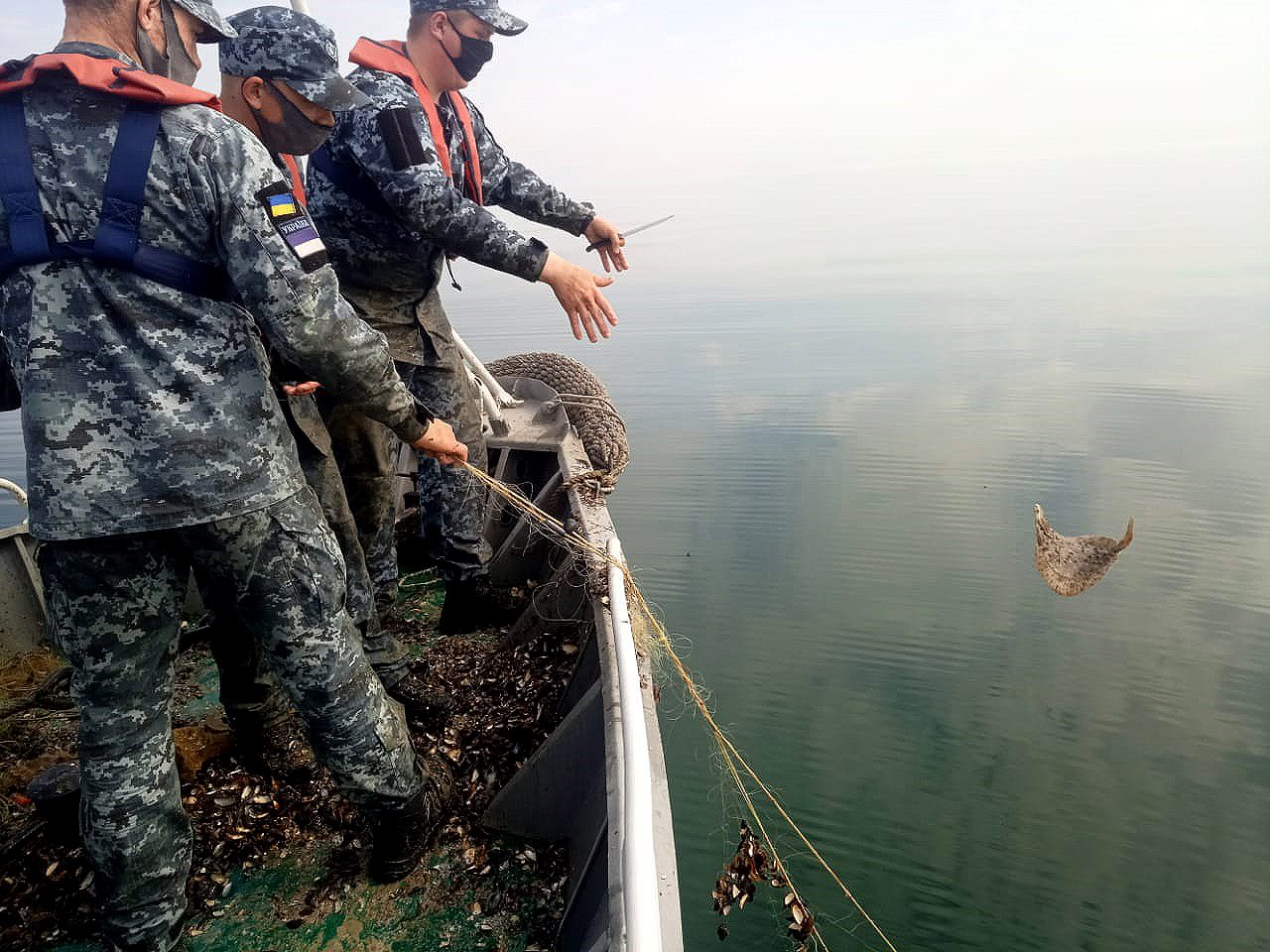 сеть, красная книга, пограничники, осетры, крабы