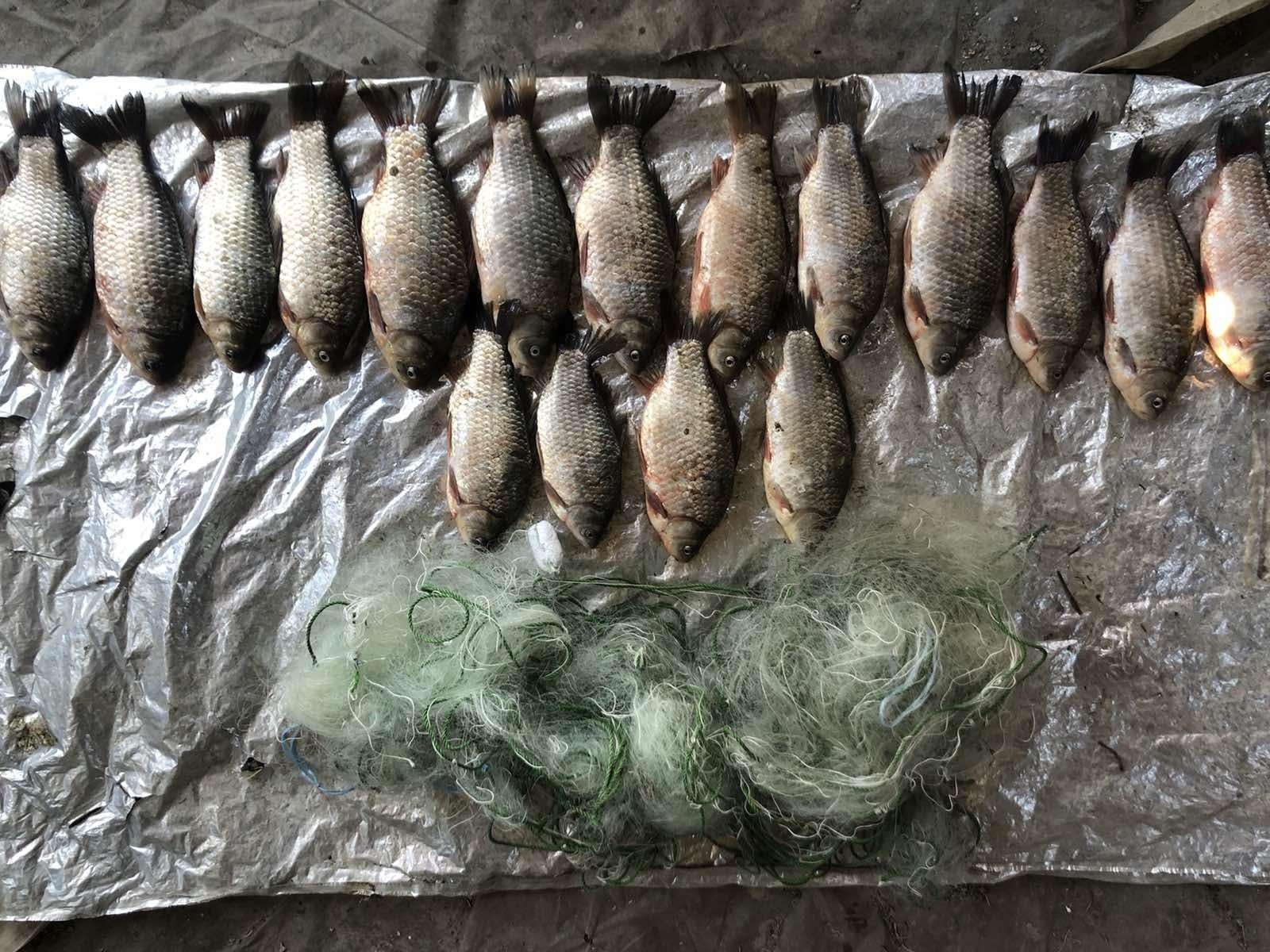 патруль, риба, правопорушники