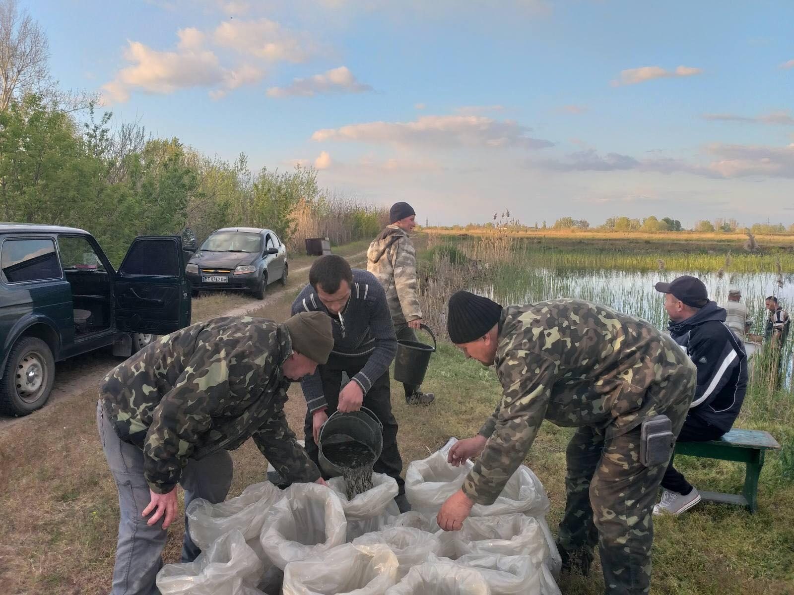 зариблення, гола пристань, мальки, нібулон