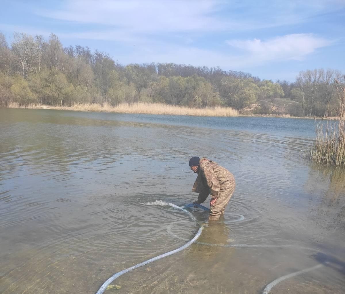 мальки, затока, водосховище, щука, зариблення