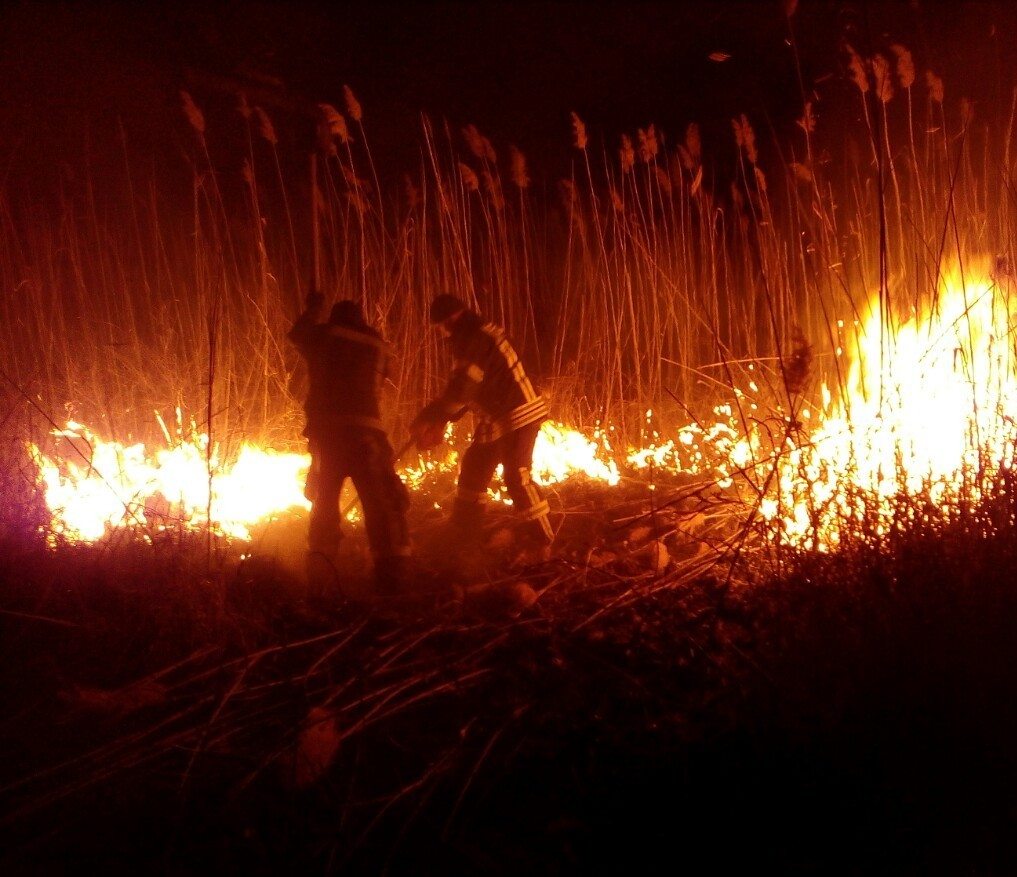 плавні, пожежі, рятувальники