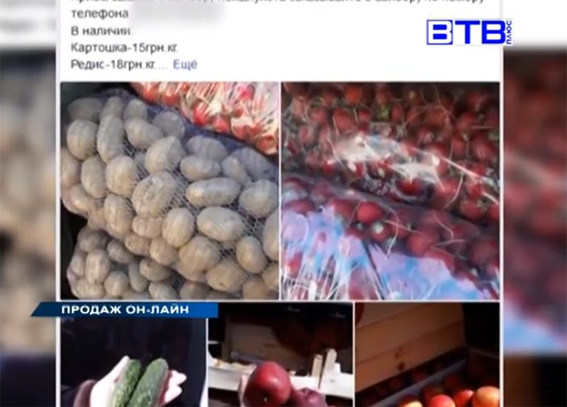 продукти, интернет, торгівля