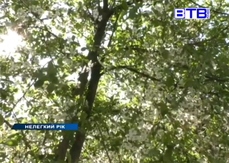 аграрії, урожай, посуха