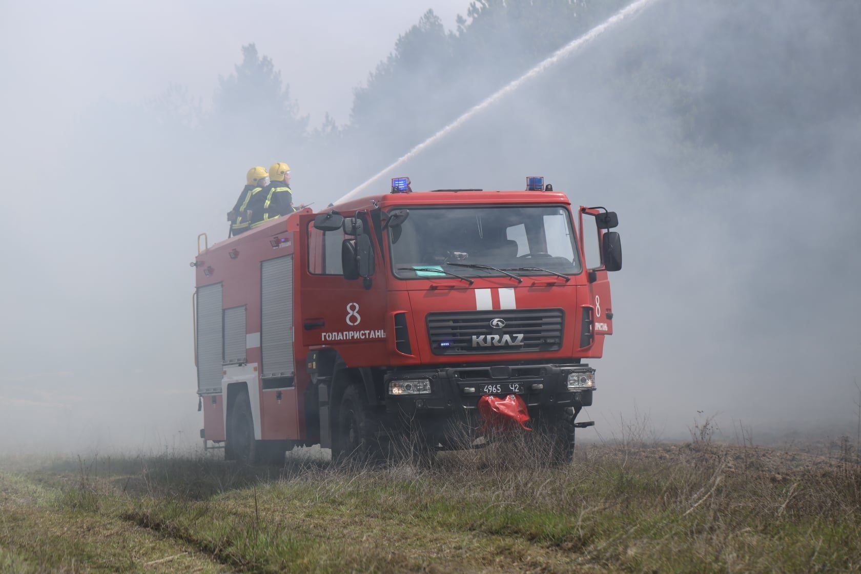 навчання, ліквідація, екосистеми