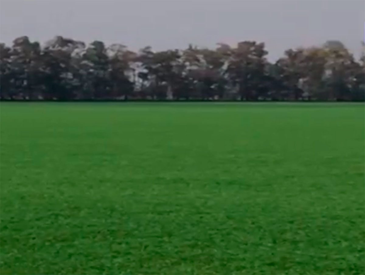 Херсонщина, відео, урожай