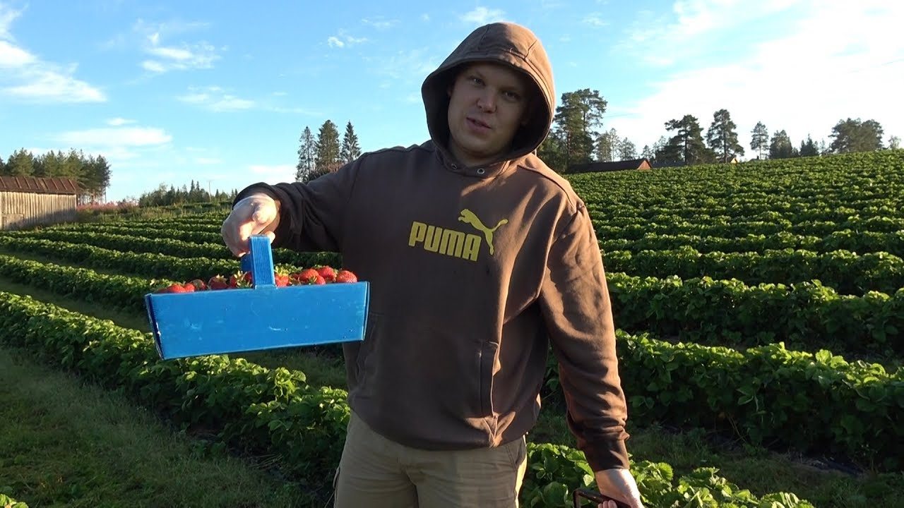 центр занятости, работы, слуба