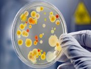 В Херсоне есть опасность вспышки инфекционных заболеваний