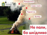 Херсонців просять не палити листя
