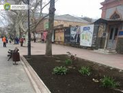 У Херсоні наводять лад на вулицях міста