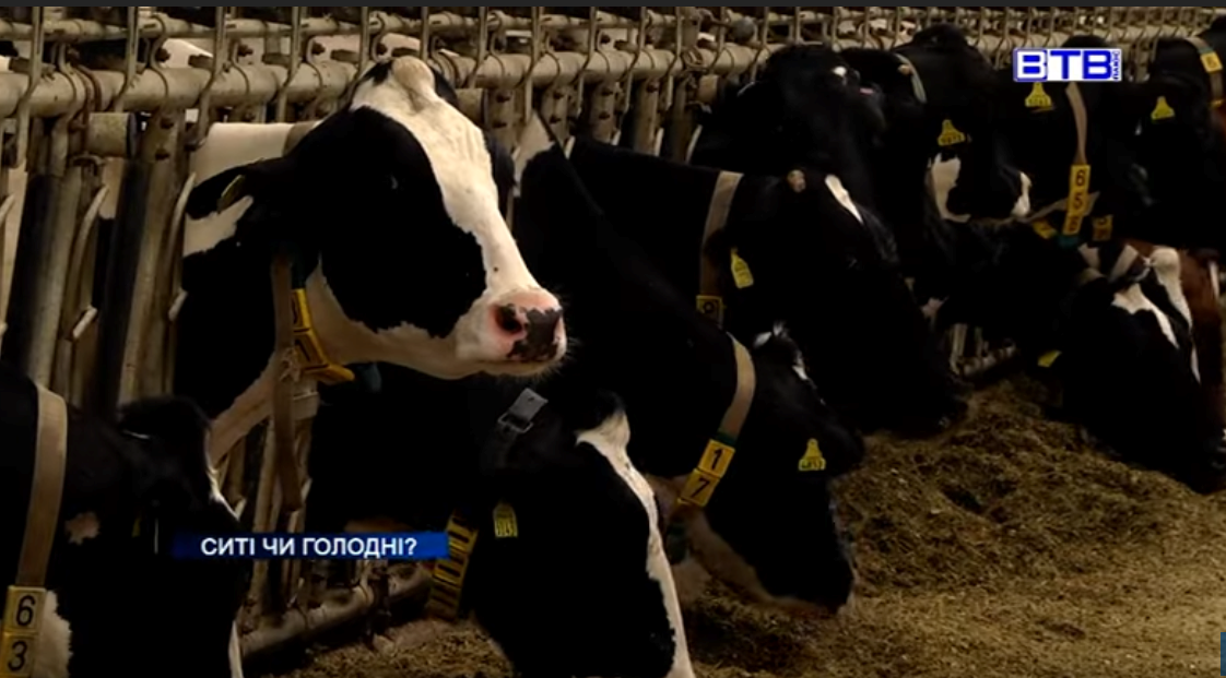 Херсонщина, загроза, знищення